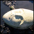 SLEEPING MOON - 1996 - Granite - 37" x 62" x 37" - Collection: Garry Trudeau and Jane Pauley, Stony Creek, CT. Placed in the ocean where it rises from the sea twice each day. 